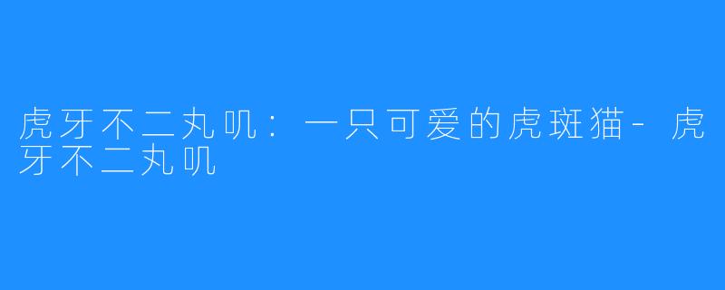 虎牙不二丸叽:一只可爱的虎斑猫-虎牙不二丸叽