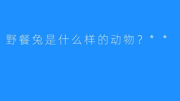野餐兔是什么样的动物?**