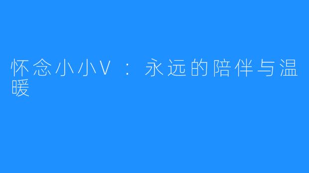 怀念小小V:永远的陪伴与温暖