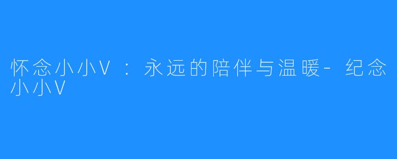 怀念小小V:永远的陪伴与温暖-纪念小小V