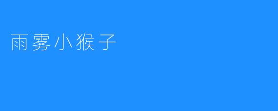 雨雾小猴子