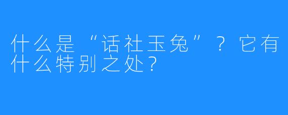 什么是“话社玉兔”？它有什么特别之处？