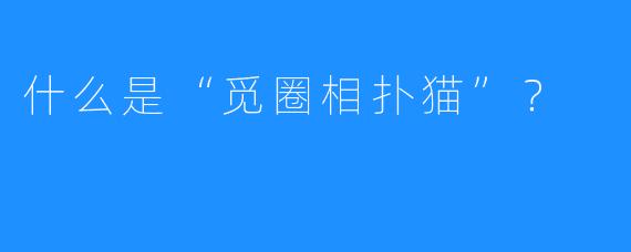 什么是“觅圈相扑猫”?