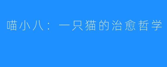 喵小八：一只猫的治愈哲学