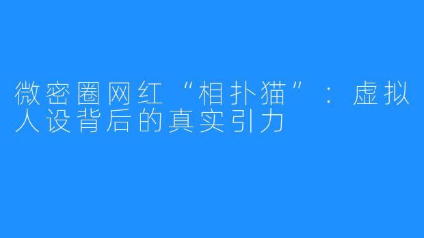 微密圈网红“相扑猫”：虚拟人设背后的真实引力
