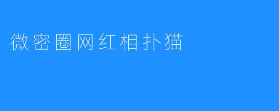 微密圈网红相扑猫